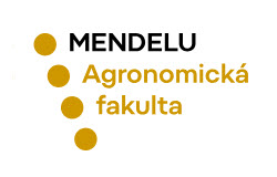 LOGO_VS_22209