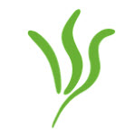 LOGO_VS_146602