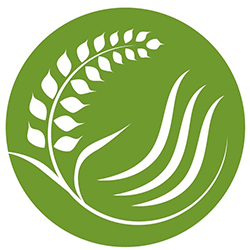 LOGO_VS_180783