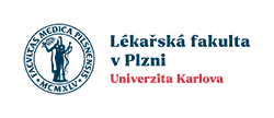 LOGO_VS_22100