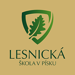 LOGO_VS_180810