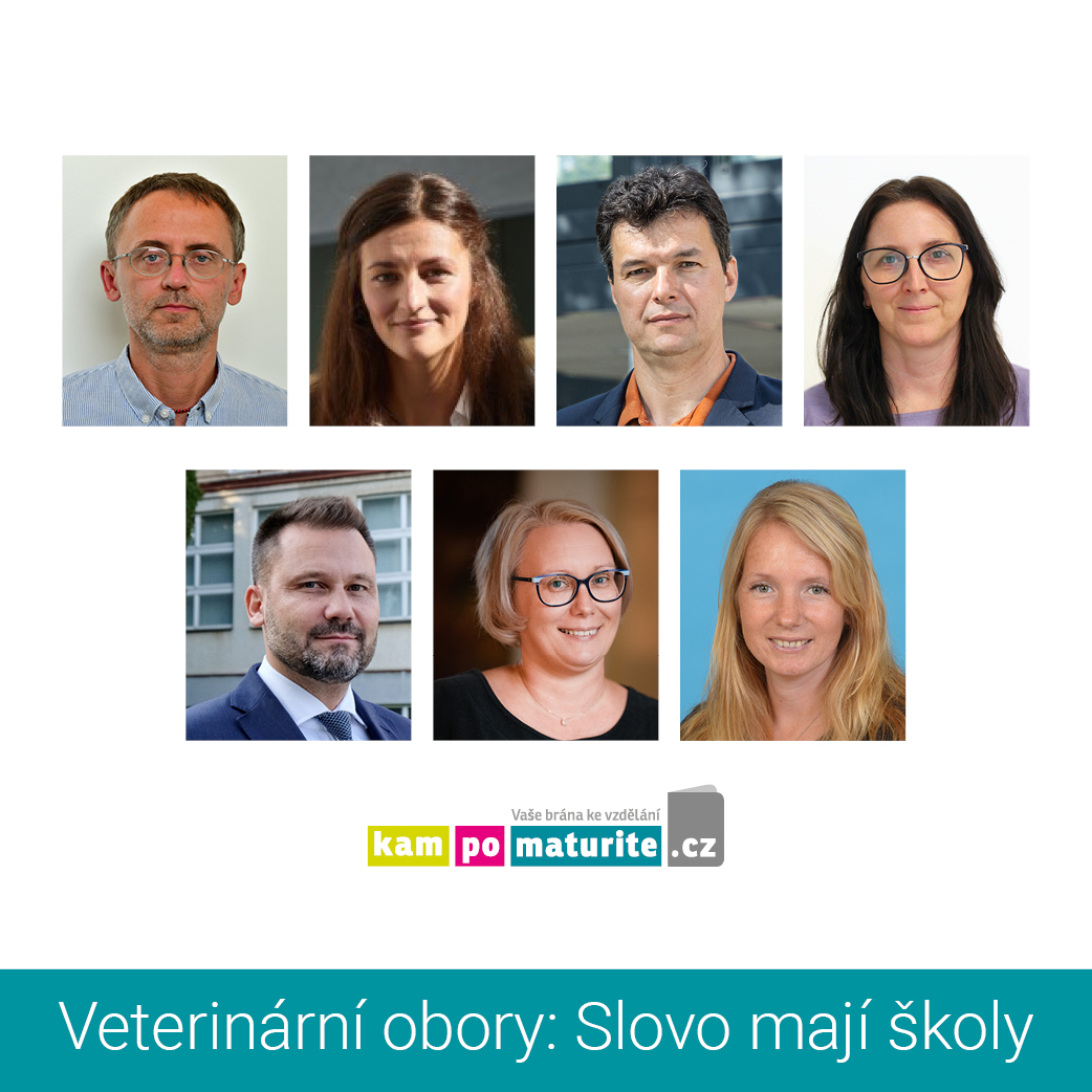 rozhovory