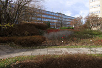 czu_af_05_210